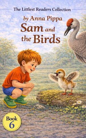 Sam and the Birds cover
